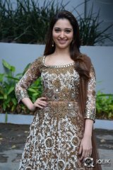 Tamannaah at Bengal Tiger Movie Opening